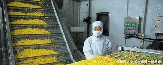 未來幾年，在農村開這4個加工廠肯定賺錢