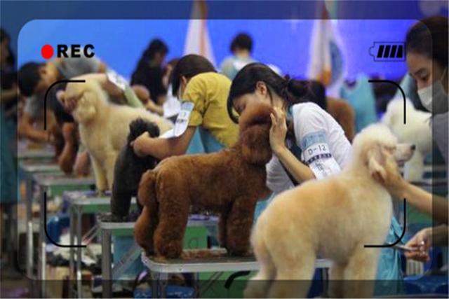 目前經濟形勢下，開什么樣的實體店比較穩妥呢？推薦幾個供參考