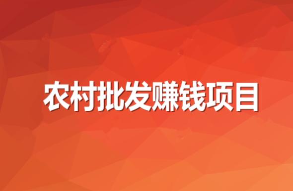 在農村批發做什么項目最賺錢？