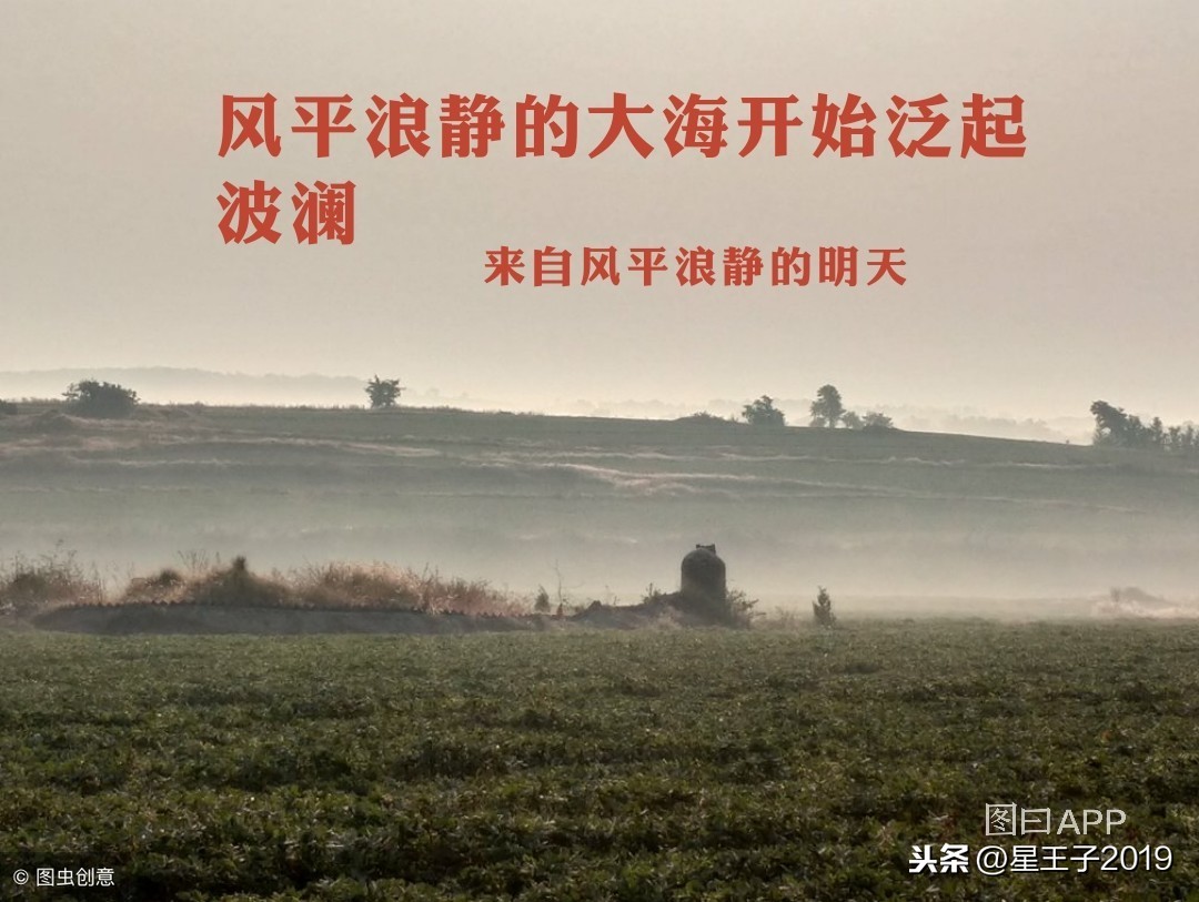 網絡推廣全套方案