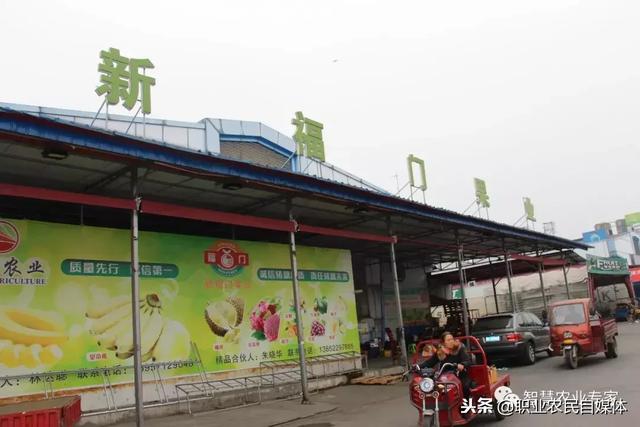 水果批發商賺錢嗎？