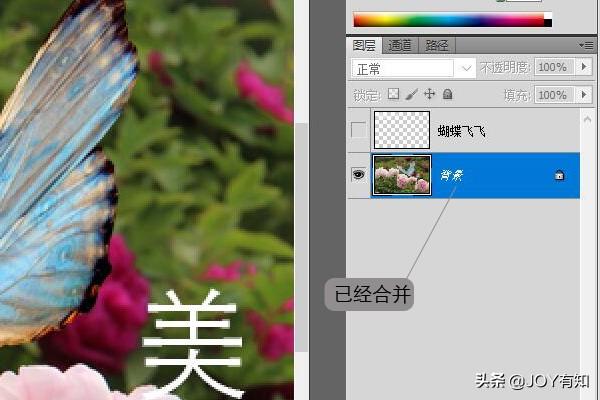 Photoshop入門到精通：圖層基本操作，向下合并和合并可見圖層