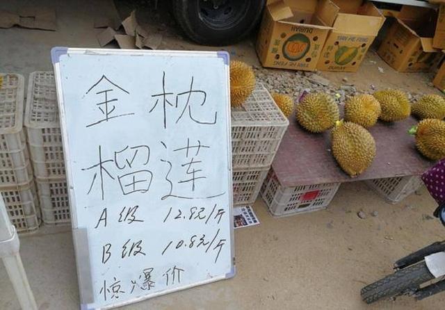 農民夏田忙農耕，冬天做這4種生意，讓農民冬天也能賺錢