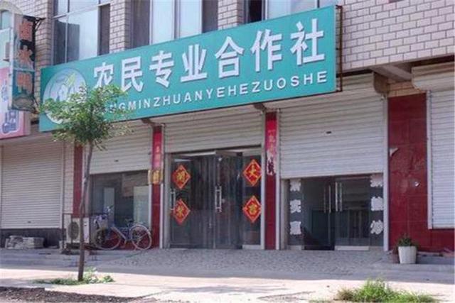 回農村創業、想年收入10萬，現在做什么可以實現目標？分析一下