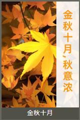 公眾號文章深秋必備的五個全文模板