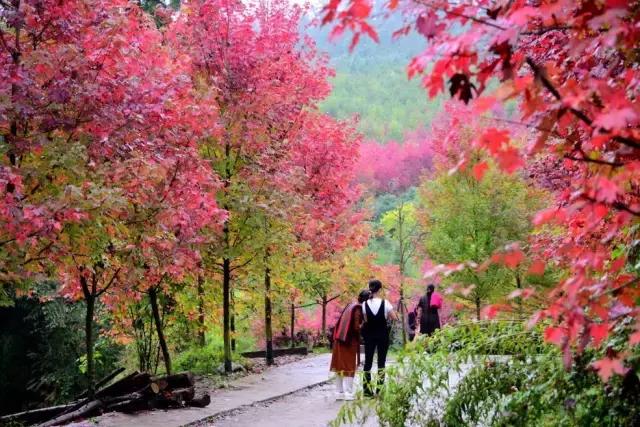 成都周邊7個不能錯過的旅行地，趁沒火之前趕緊去！