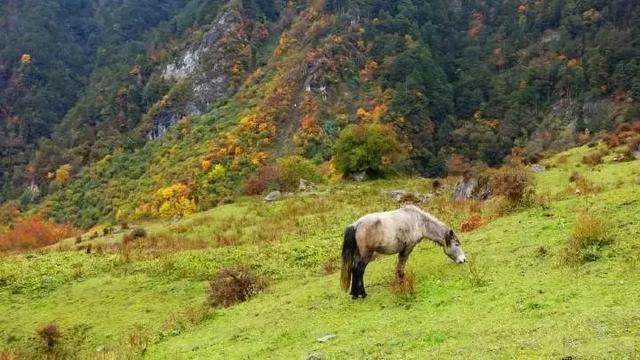 成都周邊7個不能錯過的旅行地，趁沒火之前趕緊去！