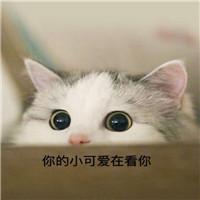 五大瀏覽器大比拼！這其中肯定有一款是你正在使用的！