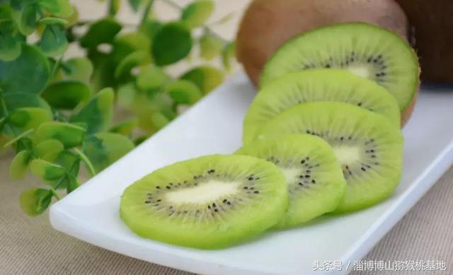 9月來了，博山獼猴桃熟了，獼猴桃挑軟的還是硬的？要怎樣吃？