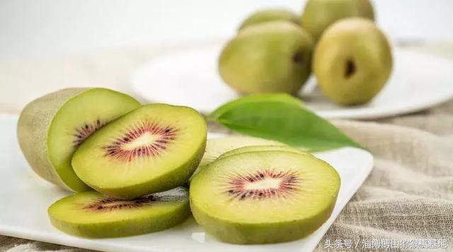 9月來了，博山獼猴桃熟了，獼猴桃挑軟的還是硬的？要怎樣吃？