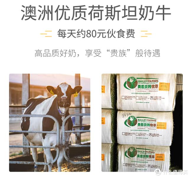奶爸親測！十款市售火爆、口感濃郁、品質過硬的純牛奶