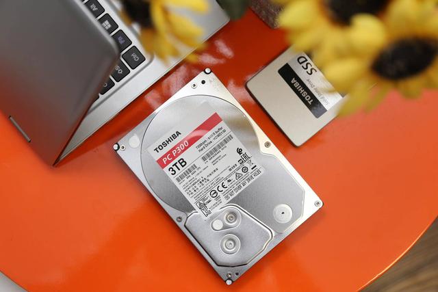 真到有大儲存需求，還是大容量來得爽！東芝P300機械硬盤評測