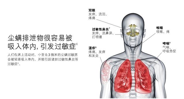 三款除螨儀測評，哪一款更值得購買？