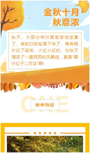 公眾號文章深秋必備的五個全文模板