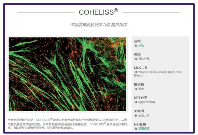 大火的歐萊雅的熬夜零點霜，到底值不值得買？