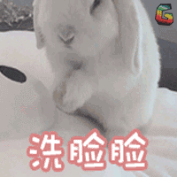 懶人福音——高絲softymo洗面奶