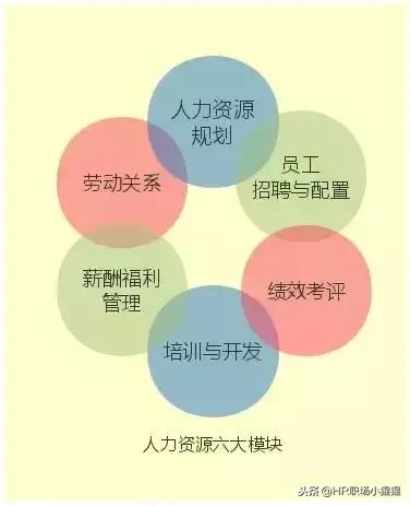 HR必備:一文講清人力資源管理六大模塊