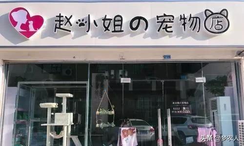 未來5年適合“白手起家”的5大項目，偏門小生意，沒錢也能起家