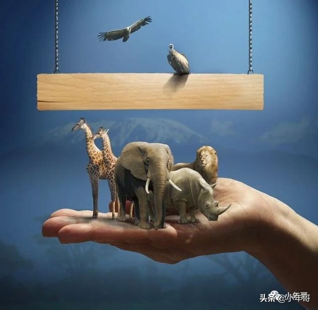 放眼未來，直播帶貨不過是棋盤一子