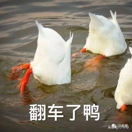 社群獲客，如何在1小時內漲粉3000