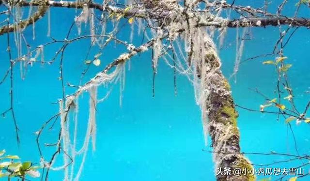 一生必去的國內七大旅游景點，網友：少去一個都會成為遺憾