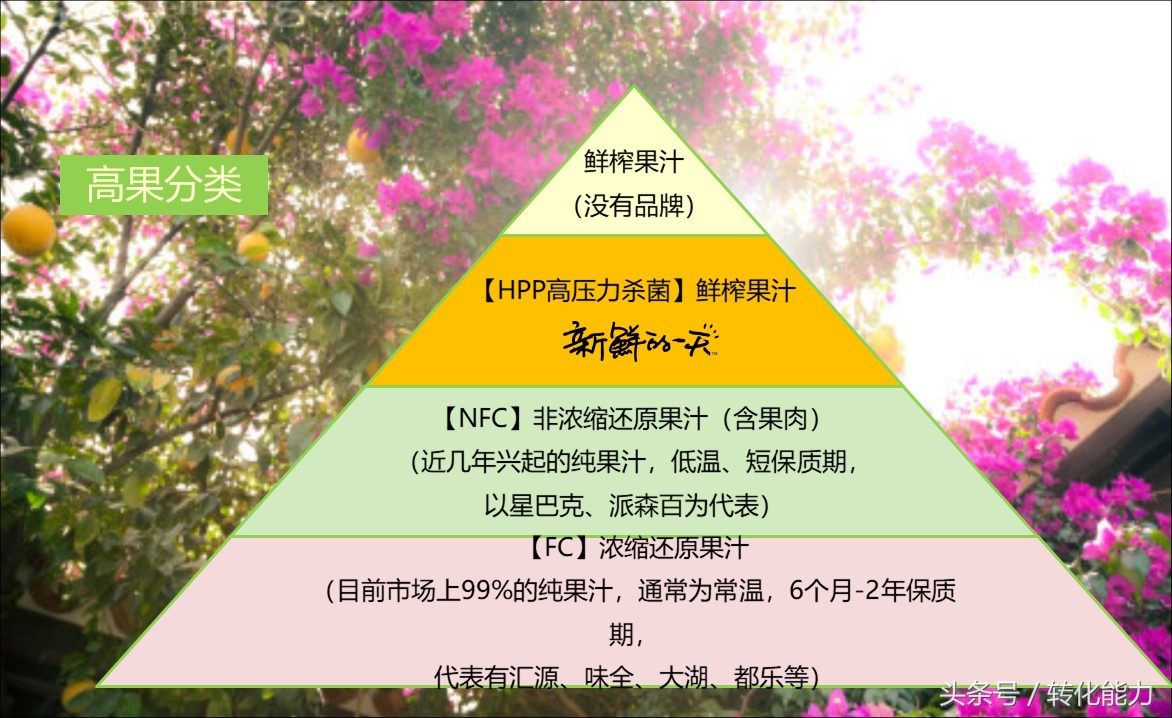 (實際營銷案例分享)新品牌創建市場戰略規劃PPT(果汁產品