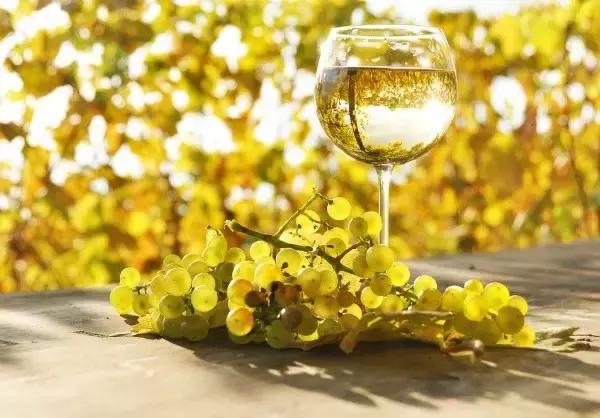 接觸紅酒這么久，你學會怎么正確飲用紅酒了嗎？