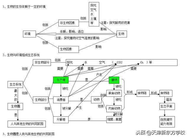 初中生物知識點梳理——思維導圖，清晰得不要不要的！