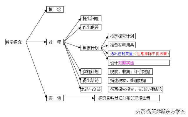 初中生物知識點梳理——思維導圖，清晰得不要不要的！