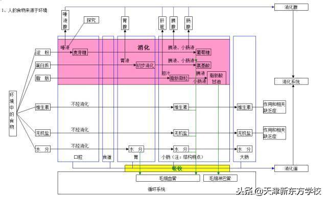 初中生物知識點梳理——思維導圖，清晰得不要不要的！