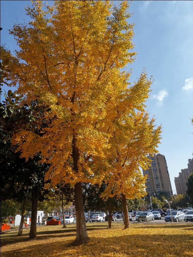 原創:孩子分不清米和平方米