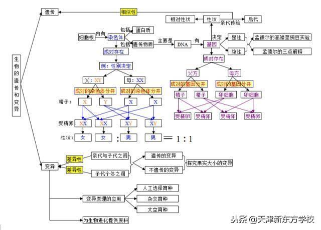 初中生物知識點梳理——思維導圖，清晰得不要不要的！