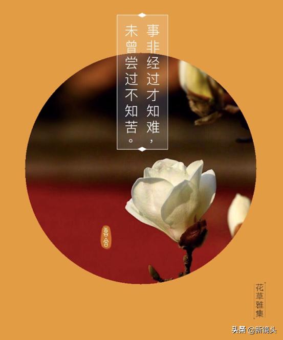 微信照片還能這樣發，文字，詩詞歌詞隨便加，一學就會！