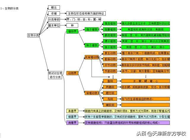初中生物知識點梳理——思維導圖，清晰得不要不要的！