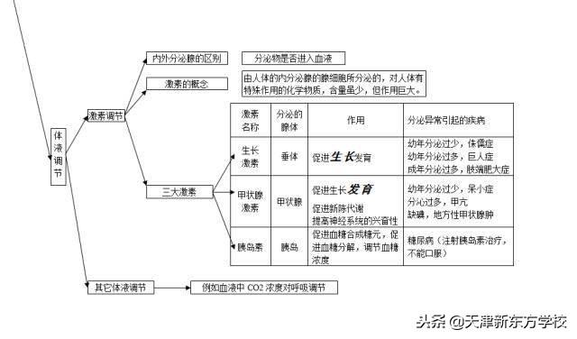 初中生物知識點梳理——思維導圖，清晰得不要不要的！