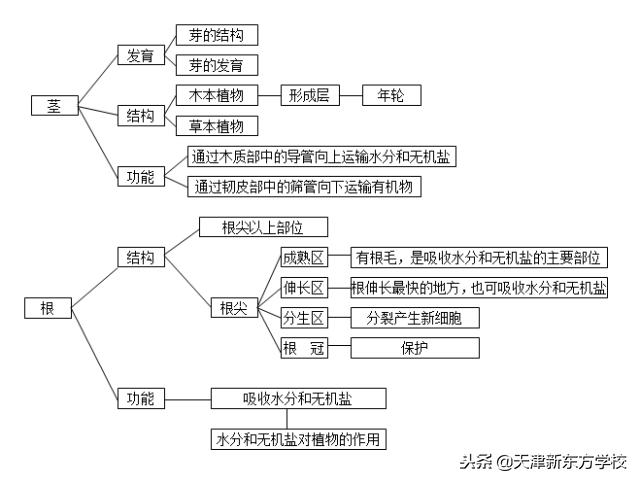 初中生物知識點梳理——思維導圖，清晰得不要不要的！
