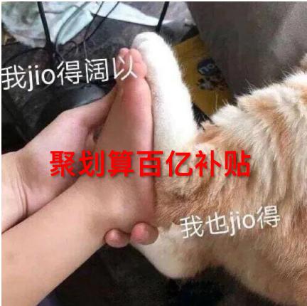 聚劃算，風口下的硬核生長