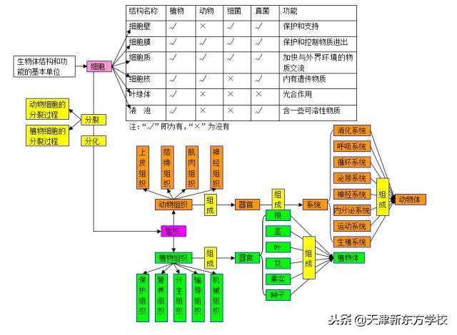 初中生物知識點梳理——思維導圖，清晰得不要不要的！