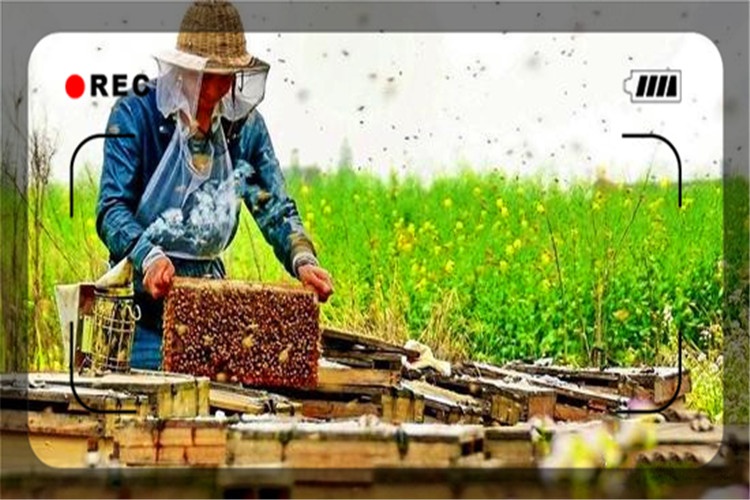 一個58歲人身上只有1500元，在農村怎么開始創業？推薦一些