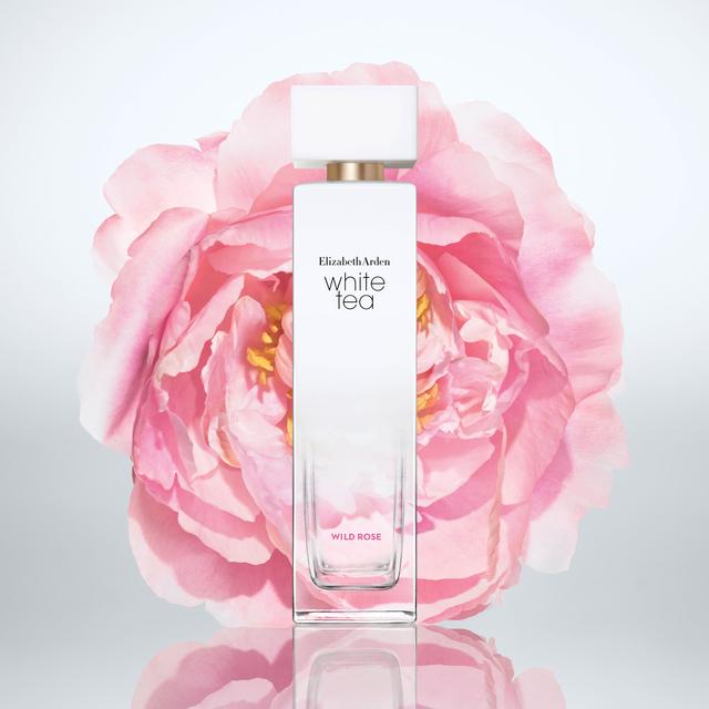 NEW|伊麗莎白雅頓2019新品白茶香水