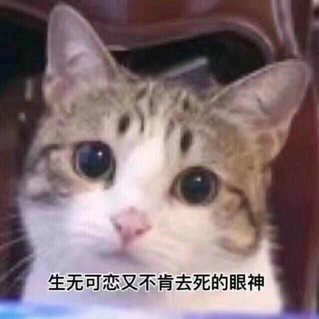 計算機二級基礎之小白盲打口訣及鍵盤基礎