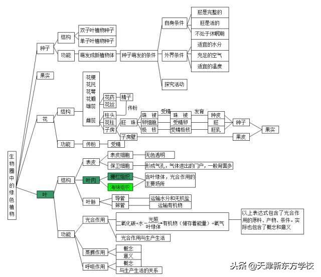 初中生物知識點梳理——思維導圖，清晰得不要不要的！