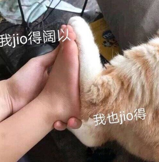 計算機二級基礎之小白盲打口訣及鍵盤基礎