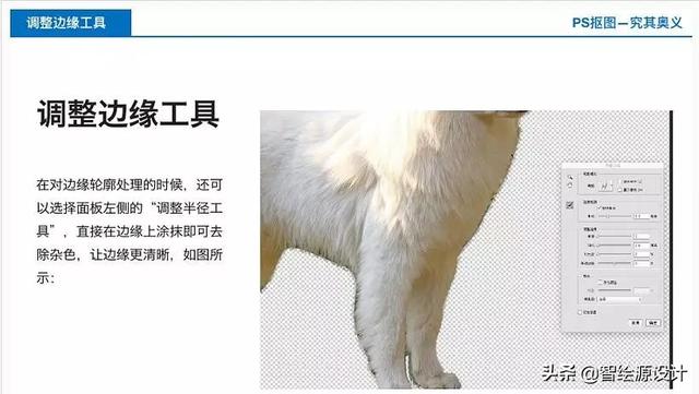 四種ps摳圖方法，簡單又高效（全套摳圖教程+摳圖插件免費送）