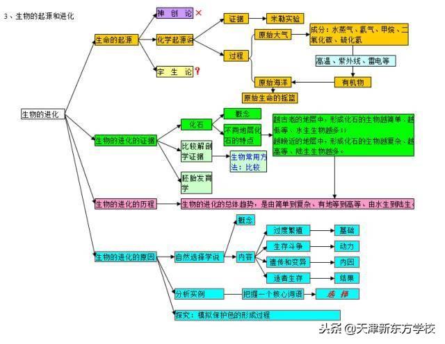 初中生物知識點梳理——思維導圖，清晰得不要不要的！