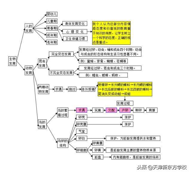 初中生物知識點梳理——思維導圖，清晰得不要不要的！