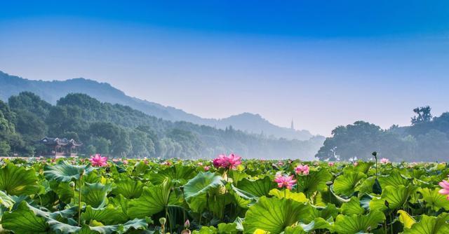 中國最著名的十個旅游景點排名，這些地方你去過幾個？