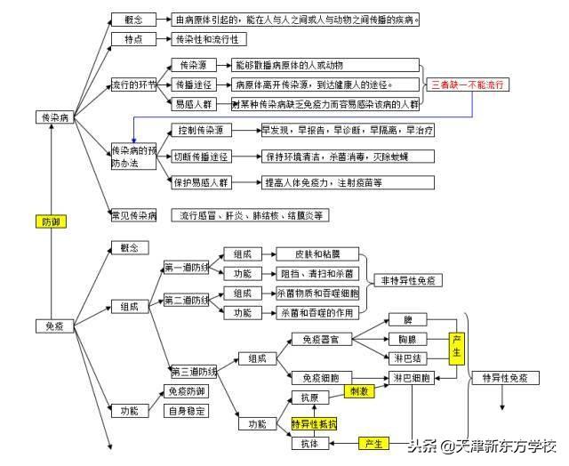 初中生物知識點梳理——思維導圖，清晰得不要不要的！