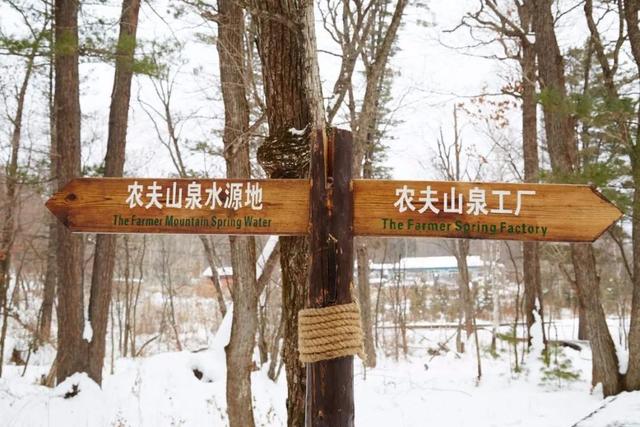農夫山泉IPO引爭議：產品與營銷落差，孰是孰非？