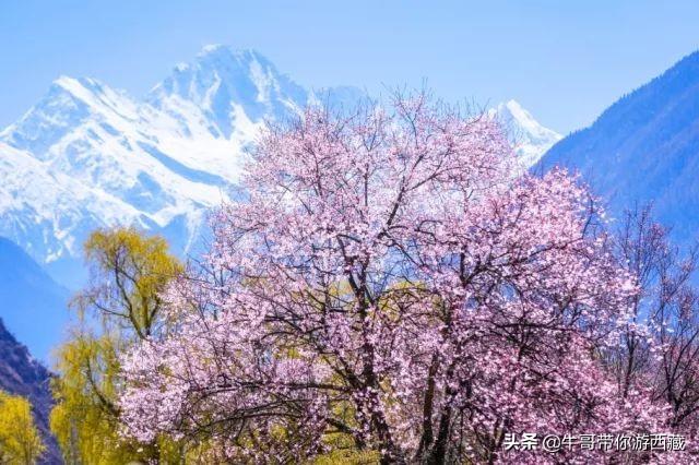 盤點西藏最火的8大旅游景點，只等疫情過去，就可以出發了